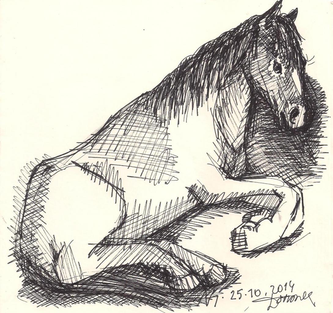 AVD 1.12.2014 015