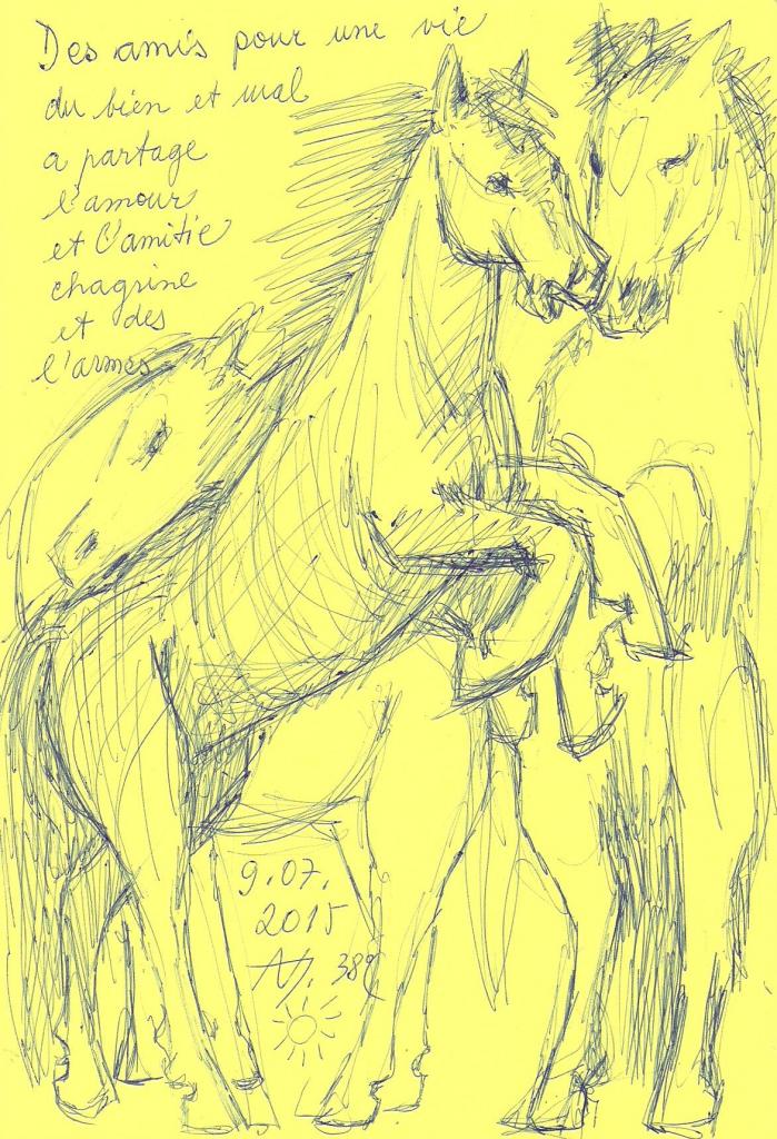 AVD 10.07.2015 007