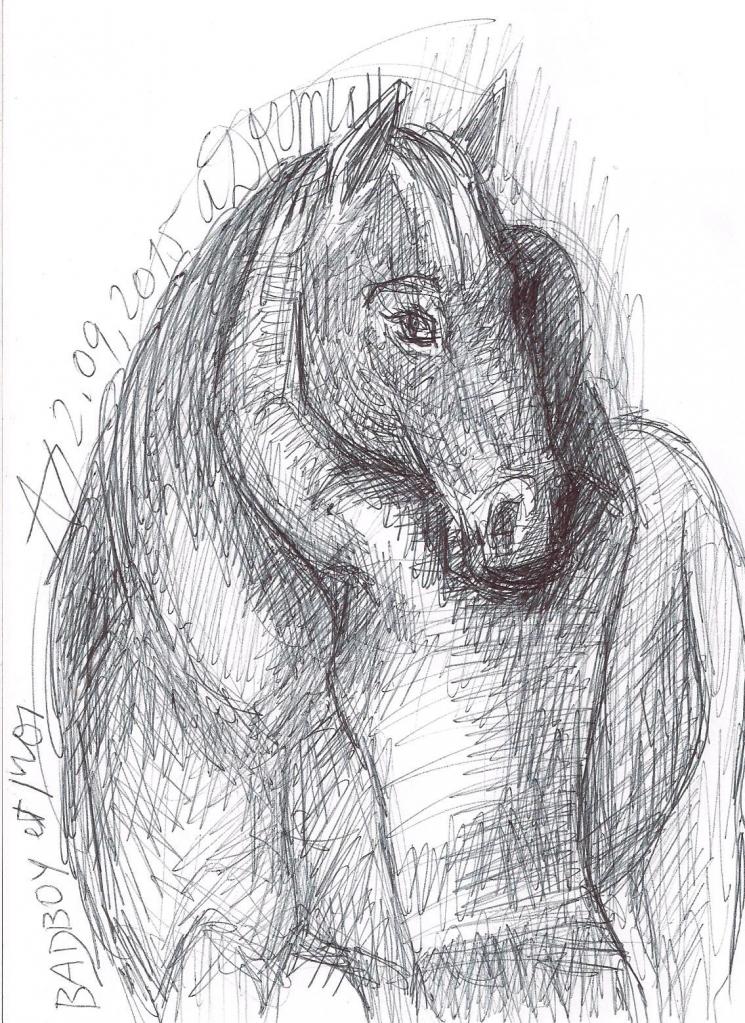 AVD dessin 8.09.2015 002