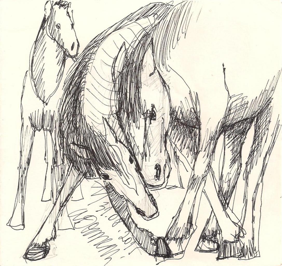 AVD dessin 8.09.2015 007