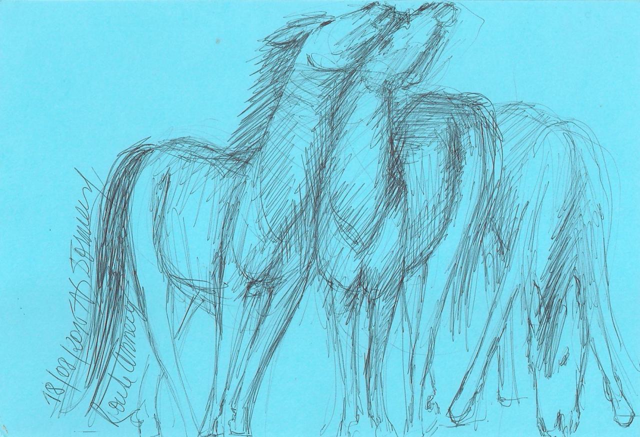 AVD dessin 8.09.2015 013