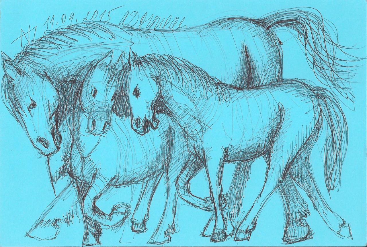 AVD dessins 1.10.2015 006