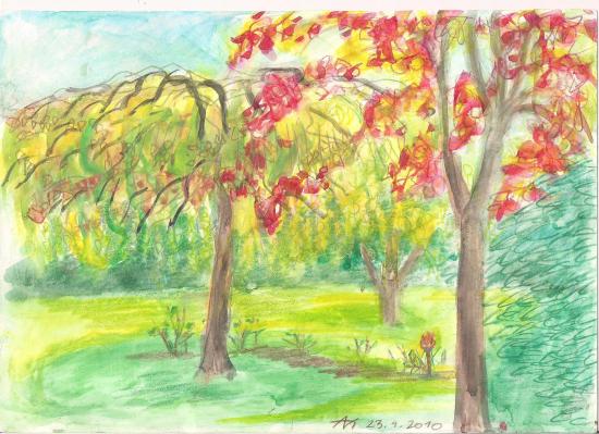 jardin