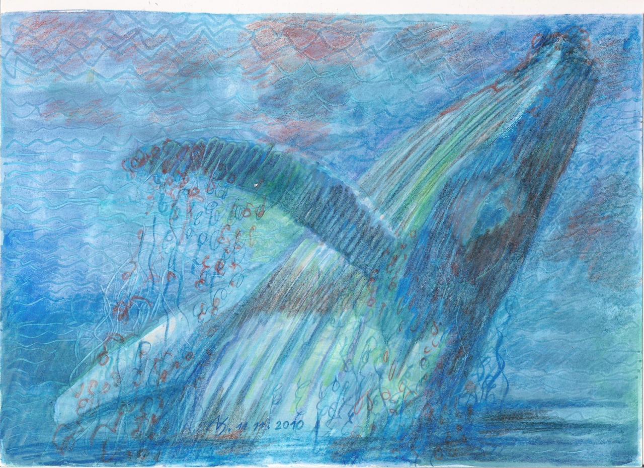 la baleine à bosse 001