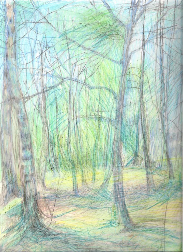 la forêt à BSM février 2016 001
