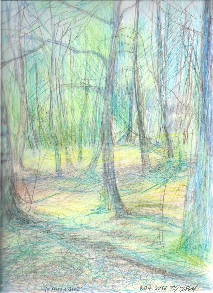 la forêt à BSM février 2016 2 001