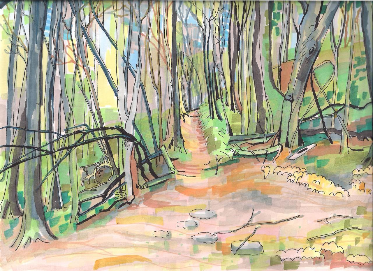 la forêt Allondaz 2017 001